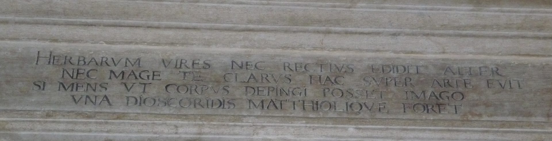 Pietro Andrea Mattioli's tombstone6.JPG